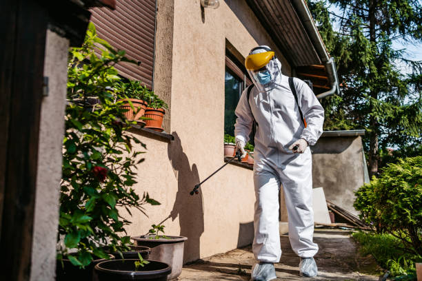 Flea Control Services in Centreville, VA