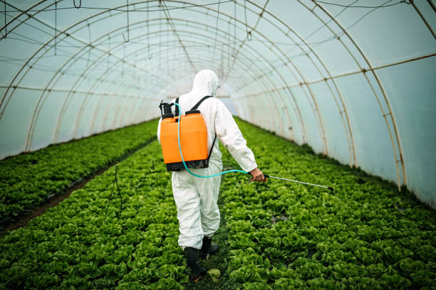 Best Affordable Pest Control Services  in Centreville, VA