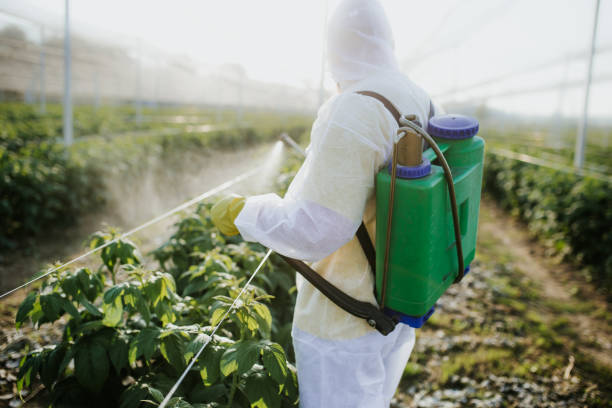 Best Pest Control Treatment  in Centreville, VA